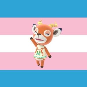 Meet your Posher, Kai